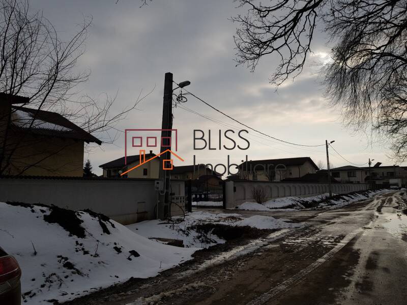 Photo 2 - BLISS Imobiliare