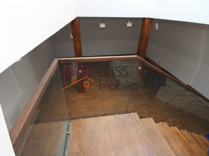 Vila de Inchiriat KM 0 | Ultracentral - 15 Camere - ID:33691 | Bliss Imobiliare / Photo 60 - BLISS Imobiliare