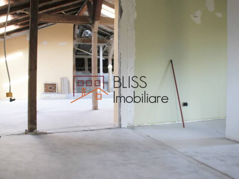 Vila de Vanzare Domenii | 1 Mai | Grivitei - 11 Camere - ID:42219 | Bliss Imobiliare / Photo 18 - BLISS Imobiliare