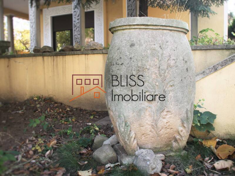 Vila de Vanzare Domenii | 1 Mai | Grivitei - 11 Camere - ID:42219 | Bliss Imobiliare / Photo 15 - BLISS Imobiliare