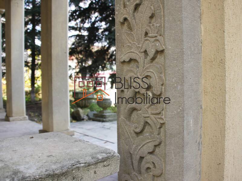 Vila de Vanzare Domenii | 1 Mai | Grivitei - 11 Camere - ID:42219 | Bliss Imobiliare / Photo 7 - BLISS Imobiliare