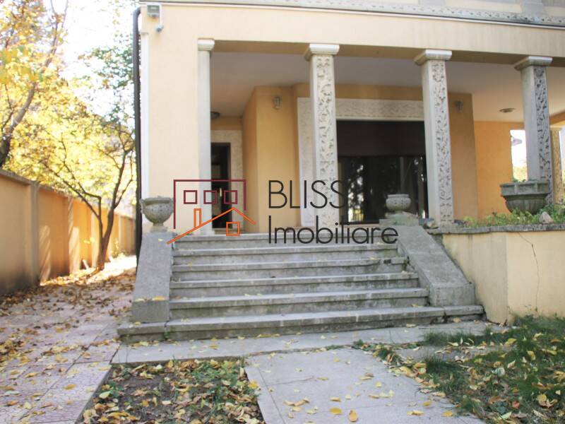 Villa for Sale Domenii | 1 Mai | Grivitei, Bucharest - 11 Rooms - ID:42219 | Bliss Imobiliare / Photo 11 - BLISS Imobiliare