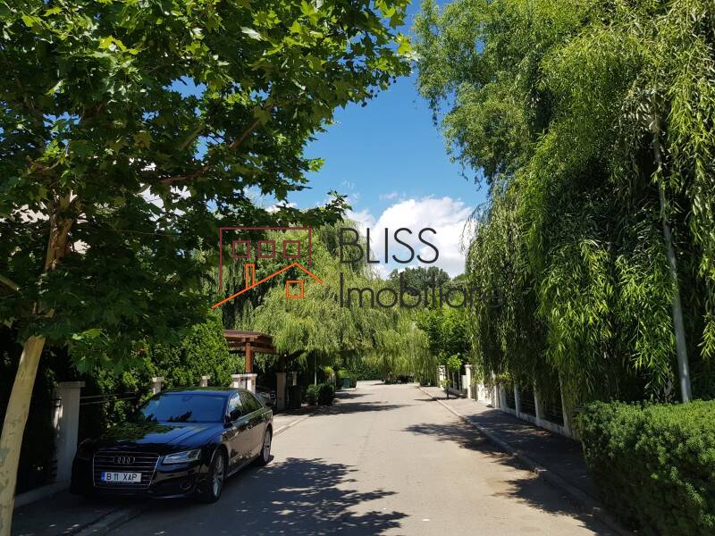 Spacious Villa With Private Garden And Large Terrace, Bucharest / Ilfov | Bliss Imobiliare / Photo 64 - BLISS Imobiliare