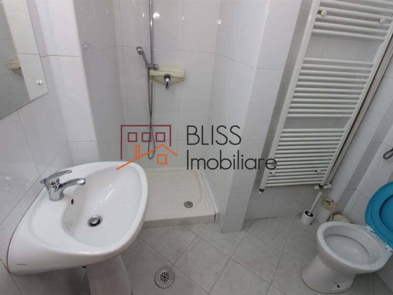 Villa for Sale Dorobanti | Primaverii | Kiseleff | Aviatorilor, Bucharest - 3 Bedroom - ID:6953 | Bliss Imobiliare / Photo 23 - BLISS Imobiliare