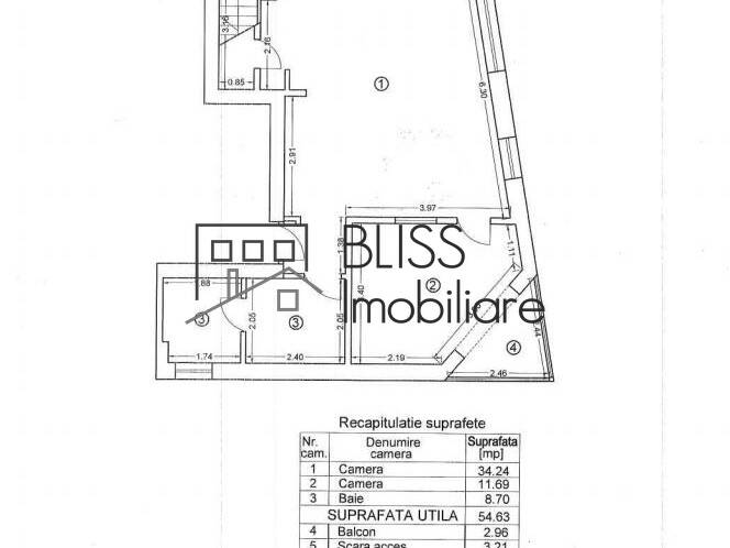 Duplex apartment for Rent Piata Victoriei, Bucharest - 3 Bedroom - ID:35081 | Bliss Imobiliare / Photo 21 - BLISS Imobiliare