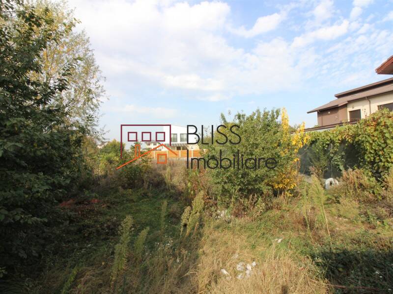 Casa de Vanzare Otopeni | Tunari - 3 Camere - ID:55449 | Bliss Imobiliare / Photo 20 - BLISS Imobiliare