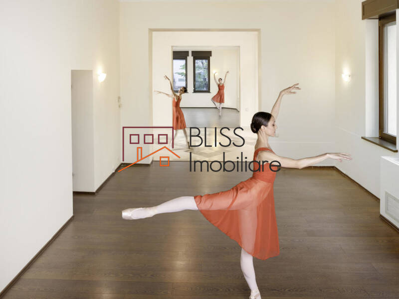 Vila de Inchiriat Dorobanti | Primaverii | Kiseleff | Aviatorilor - 18 Camere - ID:57206 | Bliss Imobiliare / Photo 4 - BLISS Imobiliare