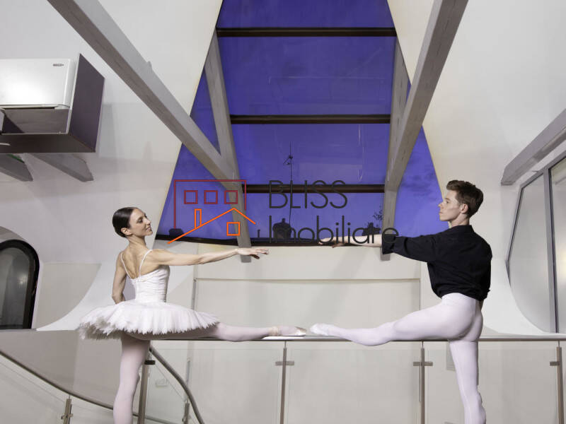 Vila de Inchiriat Dorobanti | Primaverii | Kiseleff | Aviatorilor - 18 Camere - ID:57206 | Bliss Imobiliare / Photo 6 - BLISS Imobiliare