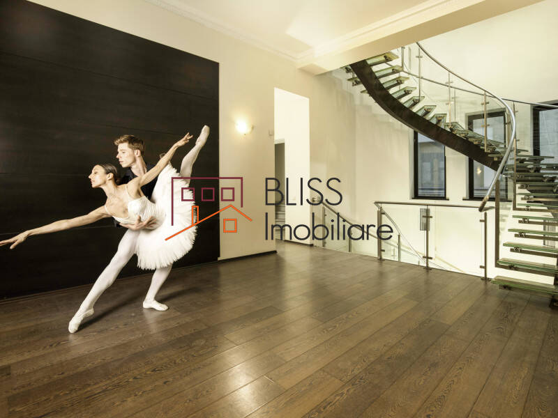 Villa for Rent Dorobanti | Primaverii | Kiseleff | Aviatorilor, Bucharest - 5 Bedroom - ID:57206 | Bliss Imobiliare / Photo 11 - BLISS Imobiliare