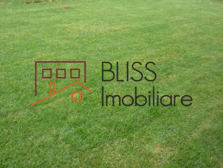 Vila de Inchiriat Iancu Nicolae | Pipera - 4 Camere - ID:7239 | Bliss Imobiliare / Photo 5 - BLISS Imobiliare