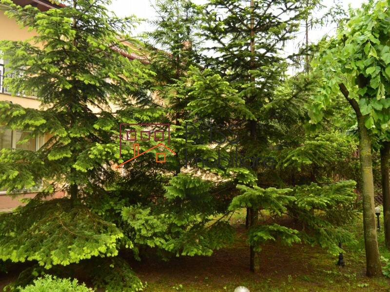 Vila 6 Camere Cu Gradina In Pipera | Bliss Imobiliare / Photo 25 - BLISS Imobiliare