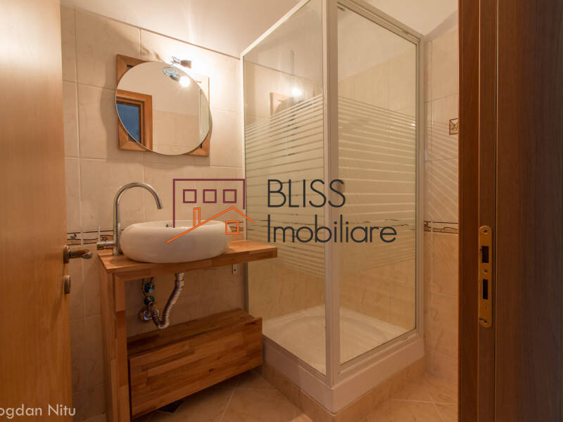 5 Bedroom Villa Iancu Nicolae Jollie Ville, Bucharest / Ilfov | Bliss Imobiliare / Photo 31 - BLISS Imobiliare