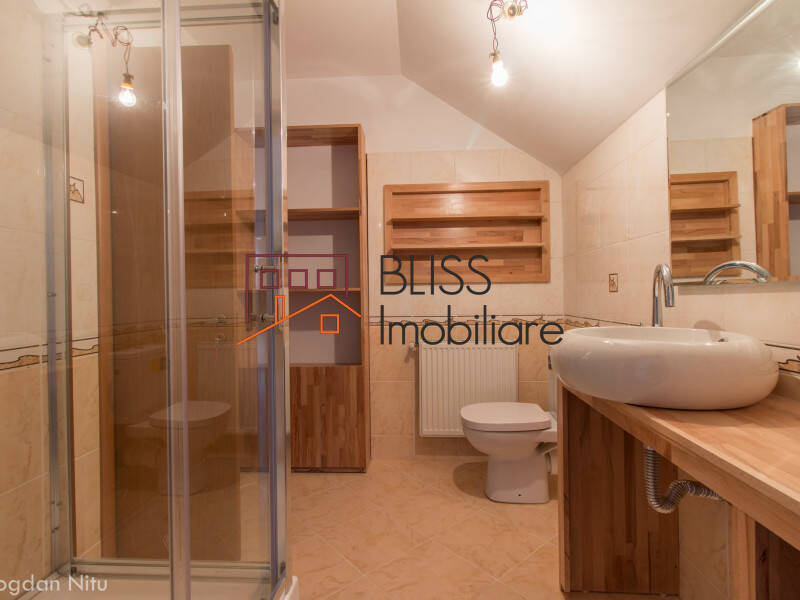 5 Bedroom Villa Iancu Nicolae Jollie Ville, Bucharest / Ilfov | Bliss Imobiliare / Photo 43 - BLISS Imobiliare