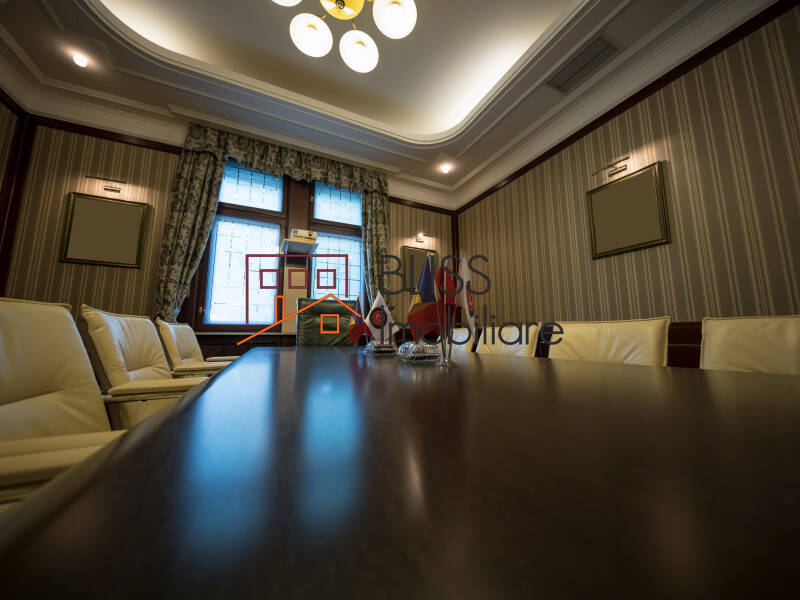 Vila de Inchiriat Dorobanti | Primaverii | Kiseleff | Aviatorilor - 13 Camere - ID:29524 | Bliss Imobiliare / Photo 22 - BLISS Imobiliare