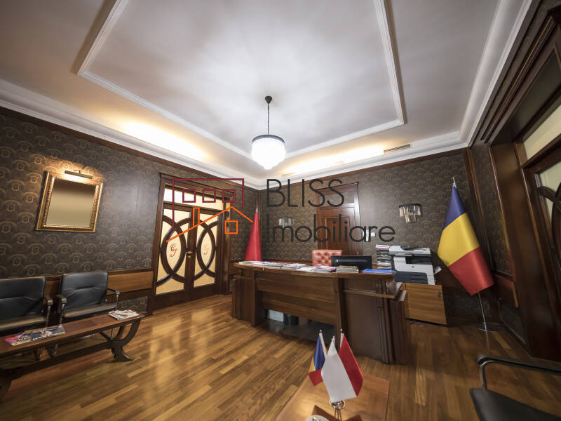 Villa for Sale Dorobanti | Primaverii | Kiseleff | Aviatorilor, Bucharest - 7 Bedroom - ID:29524 | Bliss Imobiliare / Photo 24 - BLISS Imobiliare