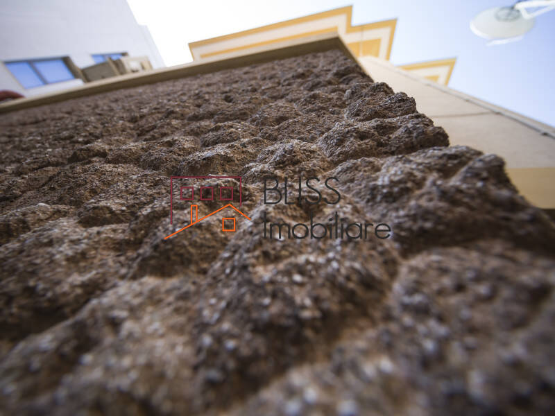 Vila de Vanzare Dorobanti | Primaverii | Kiseleff | Aviatorilor - 13 Camere - ID:29524 | Bliss Imobiliare / Photo 45 - BLISS Imobiliare