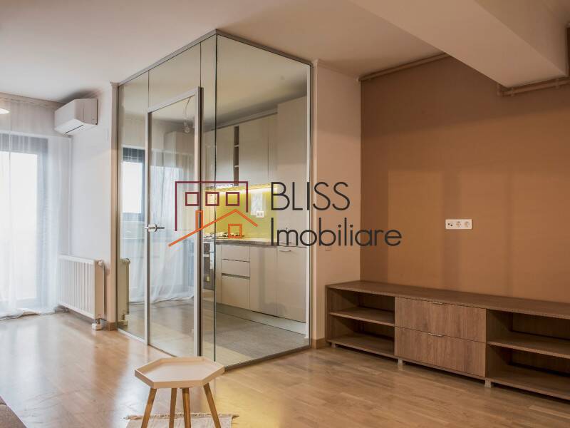 Apartment for Rent Piata Victoriei, Bucharest - 1 Bedroom - ID:69178 | Bliss Imobiliare / Photo 9 - BLISS Imobiliare