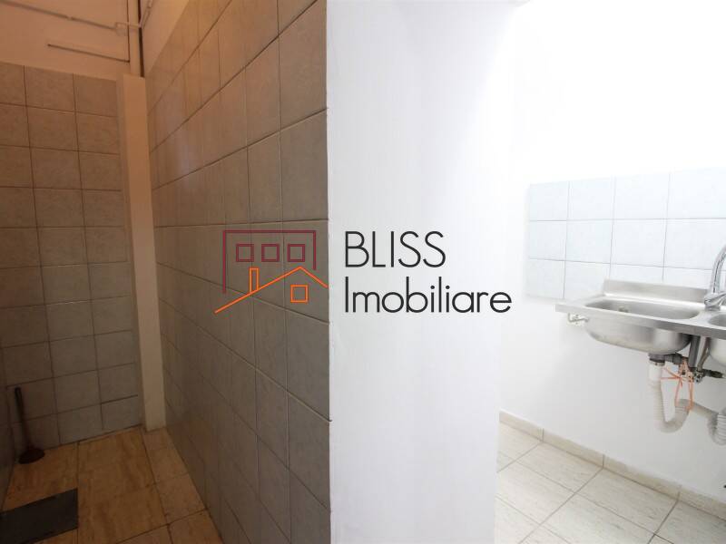 Vila de Inchiriat Dorobanti | Primaverii | Kiseleff | Aviatorilor - 11 Camere - ID:67453 | Bliss Imobiliare / Photo 21 - BLISS Imobiliare