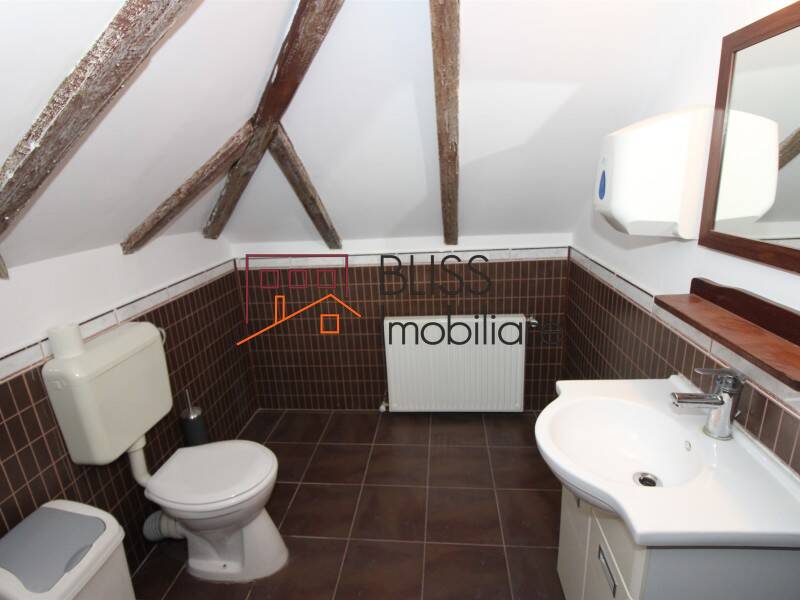 Vila de Inchiriat Dorobanti | Primaverii | Kiseleff | Aviatorilor - 11 Camere - ID:67453 | Bliss Imobiliare / Photo 24 - BLISS Imobiliare