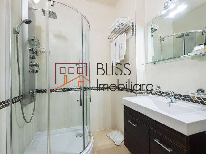 Apartament Penthouse de Inchiriat Plevnei - 2 Camere - ID:70275 | Bliss Imobiliare / Photo 14 - BLISS Imobiliare