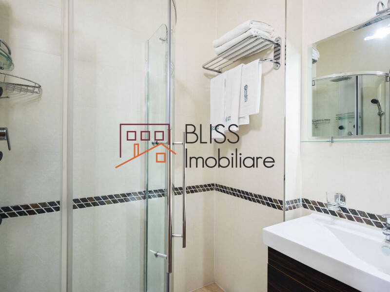 Penthouse apartment for Rent Plevnei, Bucharest - 1 Bedroom - ID:70275 | Bliss Imobiliare / Photo 15 - BLISS Imobiliare