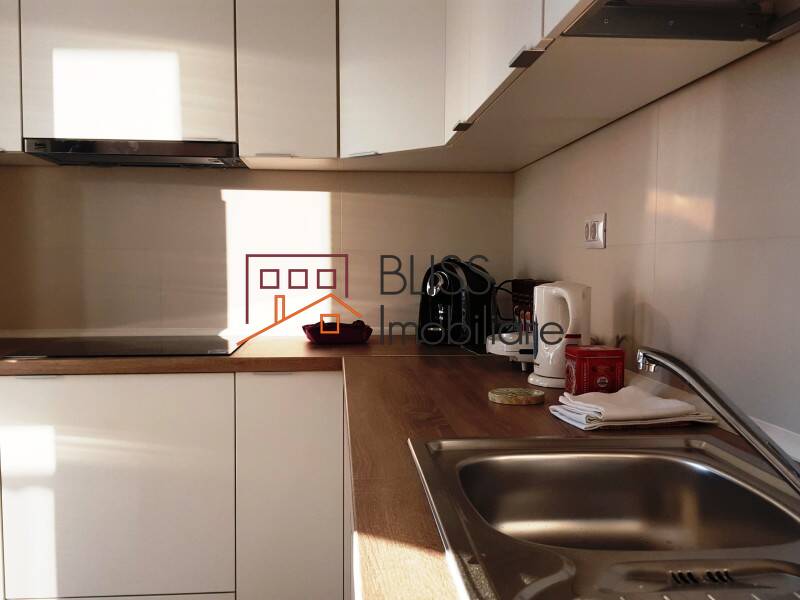Apartament de Inchiriat Herastrau | Nordului - 2 Camere - ID:57619 | Bliss Imobiliare / Photo 4 - BLISS Imobiliare
