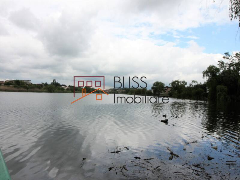 Villa for Sale Corbeanca, Bucharest / Ilfov - 4 Bedroom - ID:31982 | Bliss Imobiliare / Photo 54 - BLISS Imobiliare