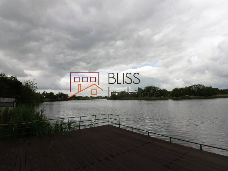 Villa for Sale Corbeanca, Bucharest / Ilfov - 4 Bedroom - ID:31982 | Bliss Imobiliare / Photo 55 - BLISS Imobiliare