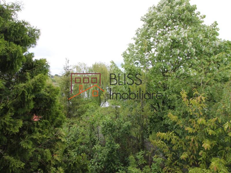 Villa for Sale Corbeanca, Bucharest / Ilfov - 4 Bedroom - ID:31982 | Bliss Imobiliare / Photo 32 - BLISS Imobiliare