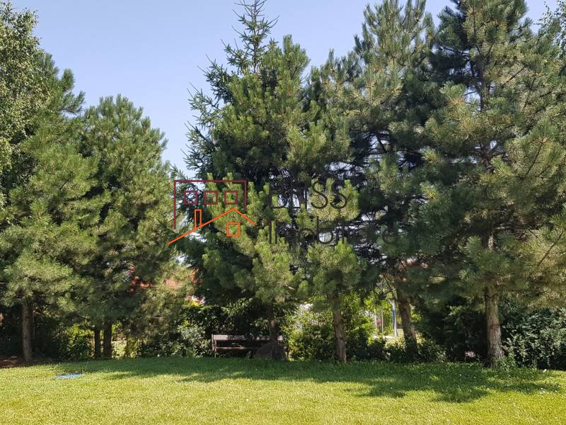 Photo 22 - BLISS Imobiliare