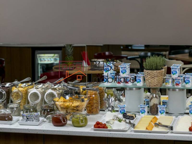 Apartament Penthouse de Inchiriat Plevnei - 2 Camere - ID:70275 | Bliss Imobiliare / Photo 24 - BLISS Imobiliare