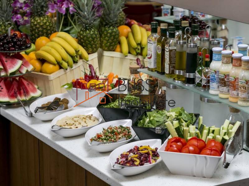 Apartament Penthouse de Inchiriat Plevnei - 2 Camere - ID:70275 | Bliss Imobiliare / Photo 25 - BLISS Imobiliare