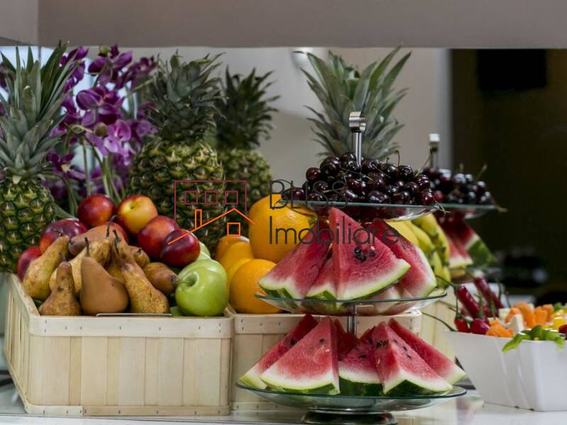 Apartament Penthouse de Inchiriat Plevnei - 2 Camere - ID:70275 | Bliss Imobiliare / Photo 26 - BLISS Imobiliare