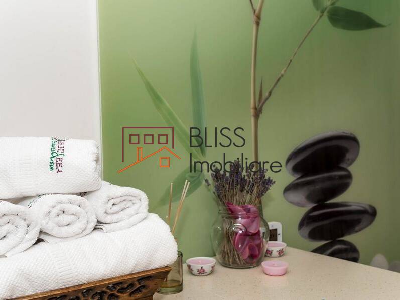 Apartament Penthouse de Inchiriat Plevnei - 2 Camere - ID:70275 | Bliss Imobiliare / Photo 27 - BLISS Imobiliare