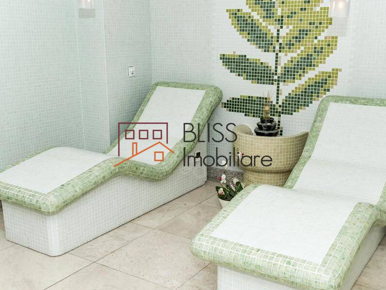 Penthouse apartment for Rent Plevnei, Bucharest - 1 Bedroom - ID:70275 | Bliss Imobiliare / Photo 29 - BLISS Imobiliare
