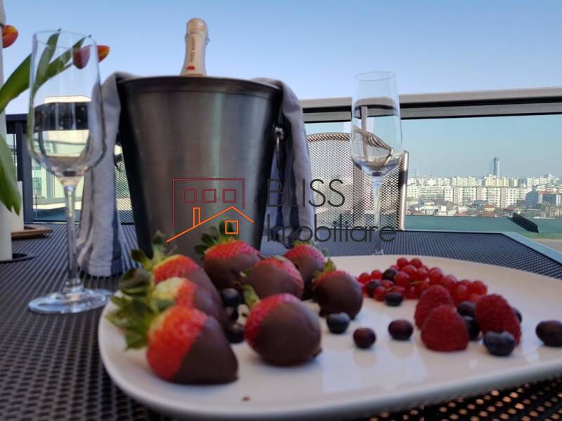 Apartament Penthouse de Inchiriat Plevnei - 2 Camere - ID:70275 | Bliss Imobiliare / Photo 34 - BLISS Imobiliare