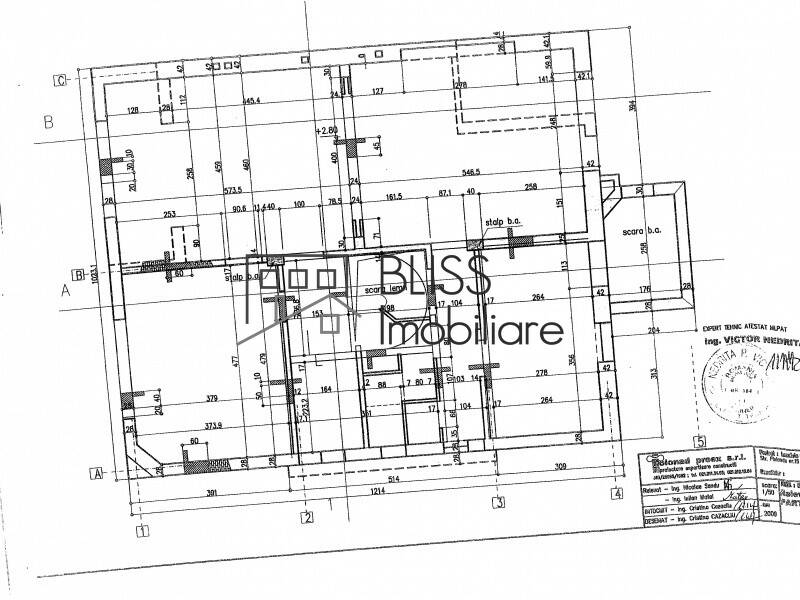 Casa de Inchiriat Dorobanti | Primaverii | Kiseleff | Aviatorilor - 12 Camere - ID:2049 | Bliss Imobiliare / Photo 85 - BLISS Imobiliare