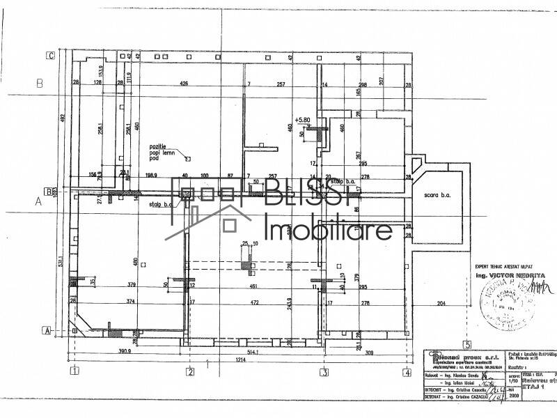 Casa de Inchiriat Dorobanti | Primaverii | Kiseleff | Aviatorilor - 12 Camere - ID:2049 | Bliss Imobiliare / Photo 87 - BLISS Imobiliare