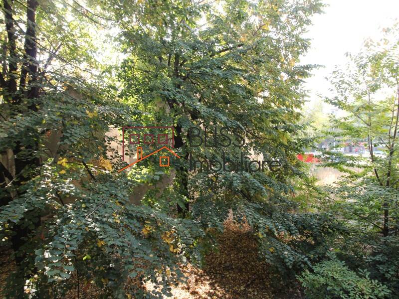 Apartament de Vanzare Tineretului-Cantemir - 5 Camere - ID:63729 | Bliss Imobiliare / Photo 14 - BLISS Imobiliare