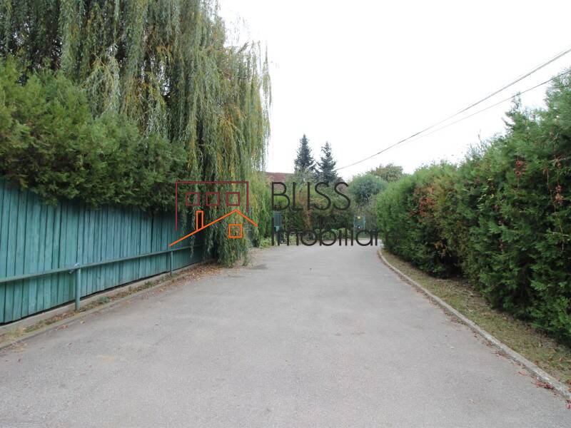 Villa for Rent Corbeanca, Bucharest / Ilfov - 4 Bedroom - ID:76982 | Bliss Imobiliare / Photo 29 - BLISS Imobiliare