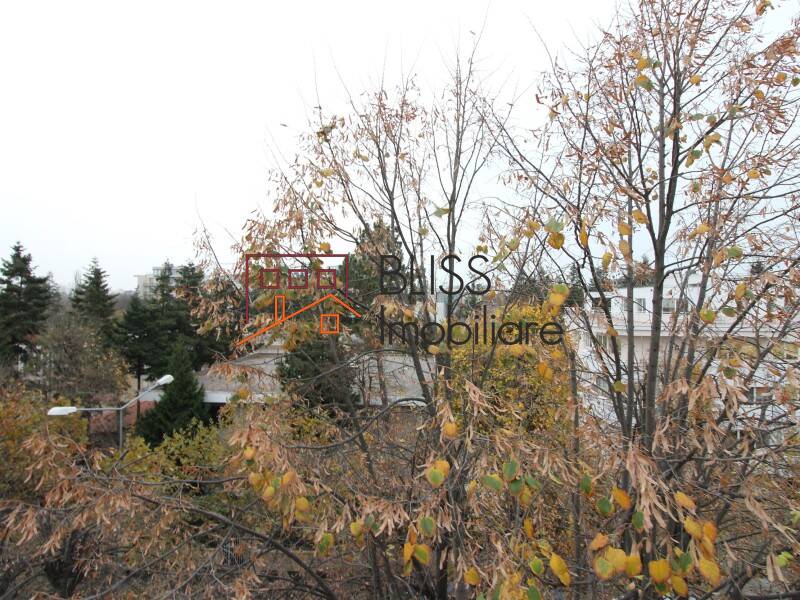 Apartament Duplex Cu 6 Camere Langa Parcul Herastru | Bliss Imobiliare / Photo 19 - BLISS Imobiliare