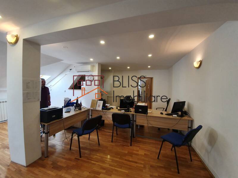 Spectacular Villa Kiseleff Park, Bucharest | Bliss Imobiliare / Photo 6 - BLISS Imobiliare