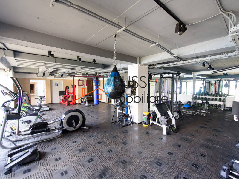 Apartment, 1 Bedroom, Bucharest | Bliss Imobiliare / Photo 11 - BLISS Imobiliare