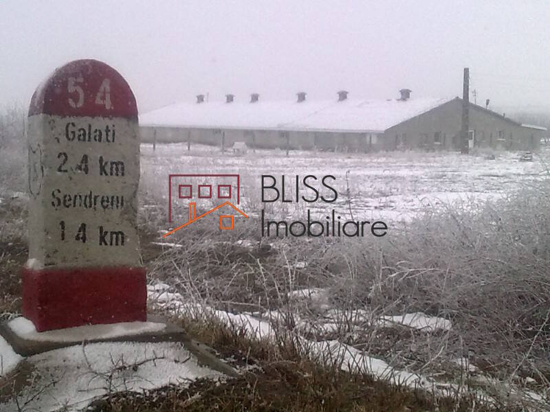 Photo 4 - BLISS Imobiliare
