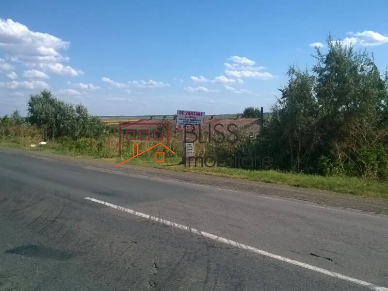 Photo 2 - BLISS Imobiliare