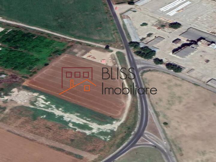 Photo 3 - BLISS Imobiliare