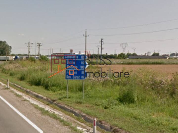 Photo 6 - BLISS Imobiliare