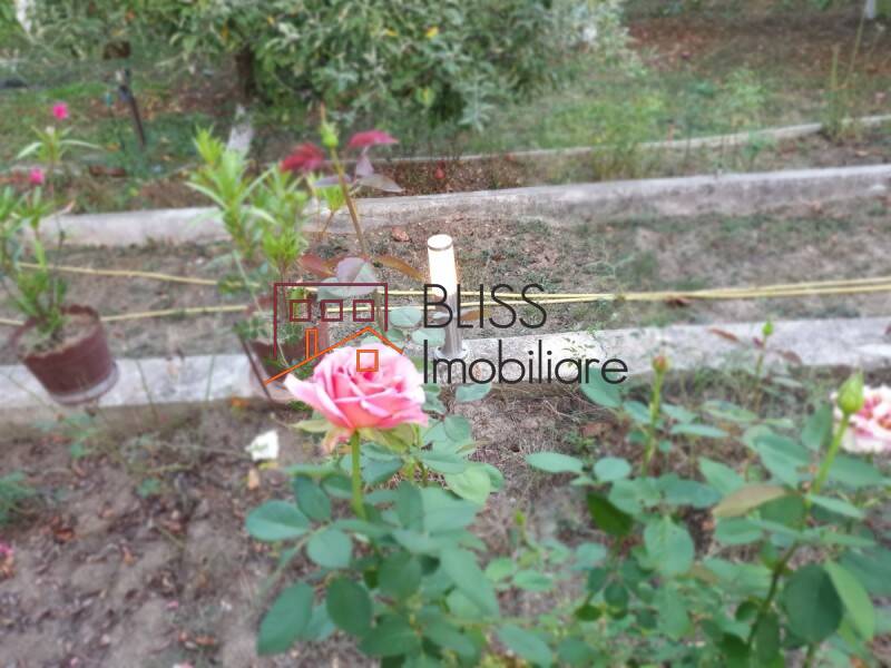 House for Sale Podgoria, Oradea, Judetul Bihor, Romania - 2 Bedroom - ID:81451 | Bliss Imobiliare / Photo 3 - BLISS Imobiliare