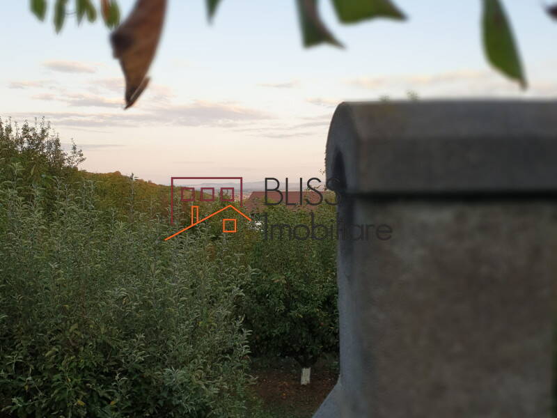 Casa de Vanzare Podgoria - 3 Camere - ID:81451 | Bliss Imobiliare / Photo 2 - BLISS Imobiliare