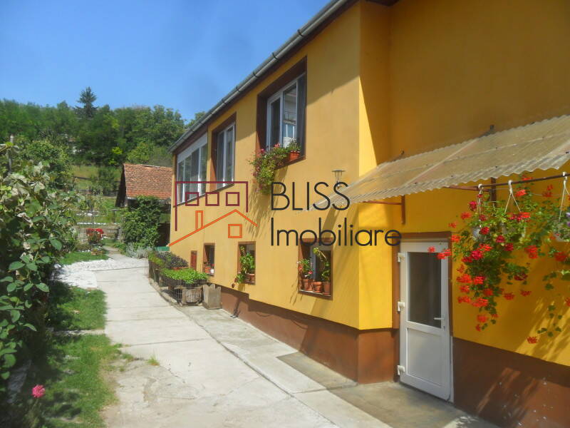 Vila de Vanzare Rupea - 4 Camere - ID:84991 | Bliss Imobiliare / Photo 2 - BLISS Imobiliare